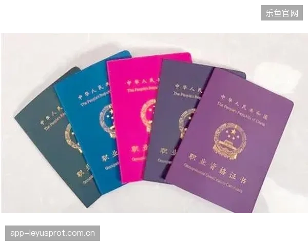 裁判误判责任与职业保障的法理界定建议